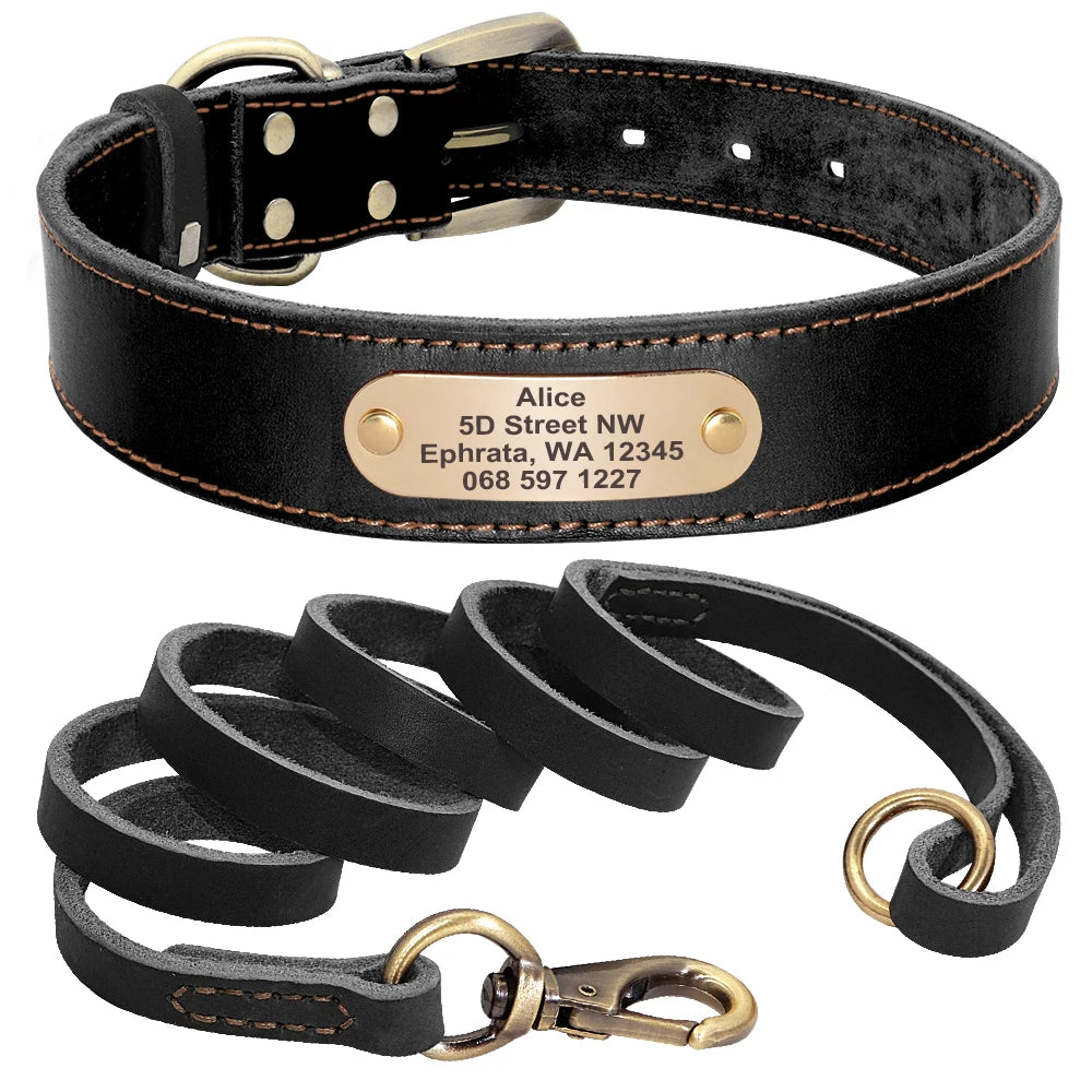 Baron, collier et laisse en cuir véritable, pour chien de petite, moyenne et grande taille, avec une plaque personnalisable