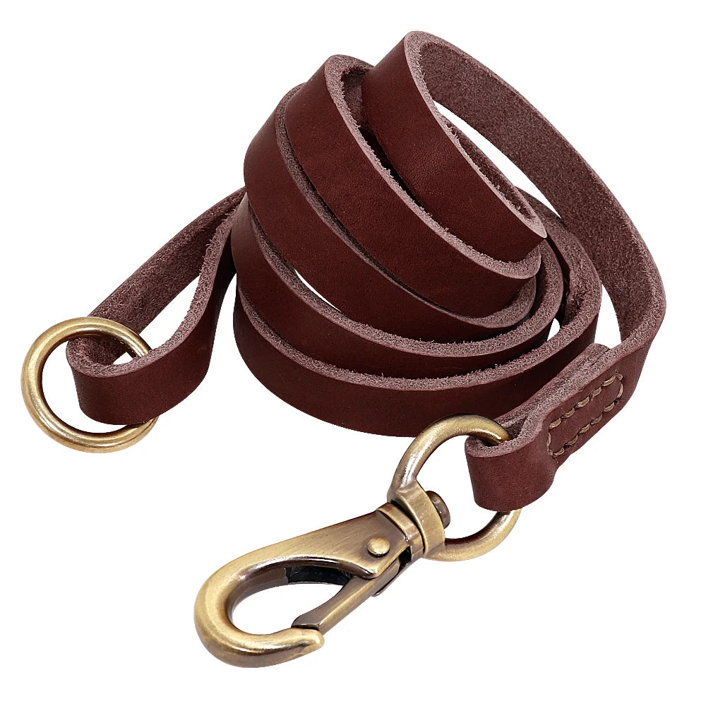 Baron, collier et laisse en cuir véritable, pour chien de petite, moyenne et grande taille, avec une plaque personnalisable
