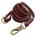  Brown Leash