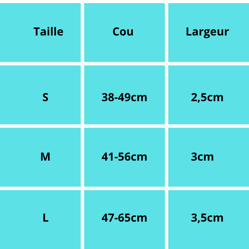 Rex, collier classique pour chien en cuir véritable de belle qualité, robuste traité antirouille