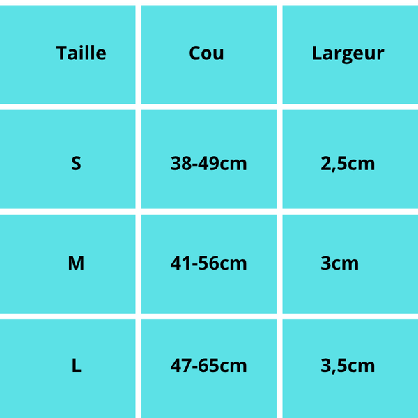 Rex, collier classique pour chien en cuir véritable de belle qualité, robuste traité antirouille
