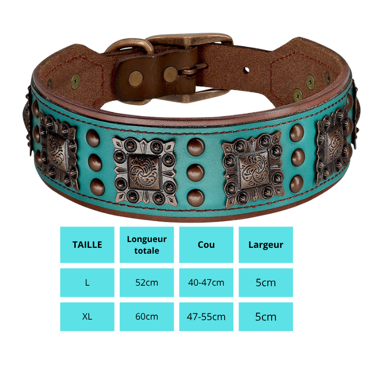 Cesar, collier en cuir véritable de qualité supérieure, large (5cm) et de caractère pour chien de taille moyenne et grande