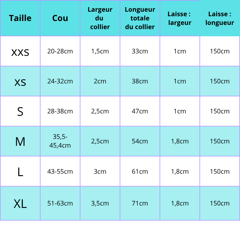 Baron, collier et laisse en cuir véritable, pour chien de petite, moyenne et grande taille, avec une plaque personnalisable