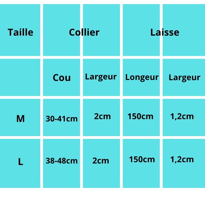 Hetman, ensemble collier et laisse(1m50) en cuir véritable tressé et résistant pour chiens de taille moyenne et grande. Disponible en marron et noir.