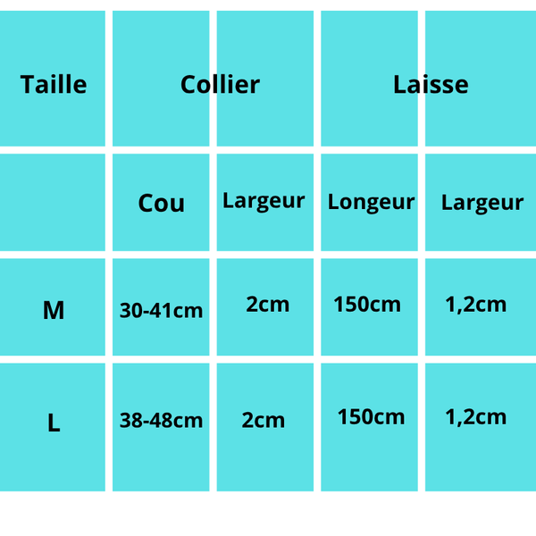 Hetman, ensemble collier et laisse(1m50) en cuir véritable tressé et résistant pour chiens de taille moyenne et grande. Disponible en marron et noir.