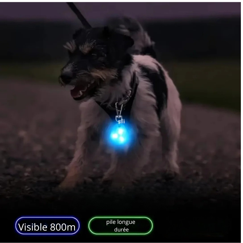 Pendentif lumineux LED, pour chien, étanche, idéal pour les promenades. Visible a 800m.