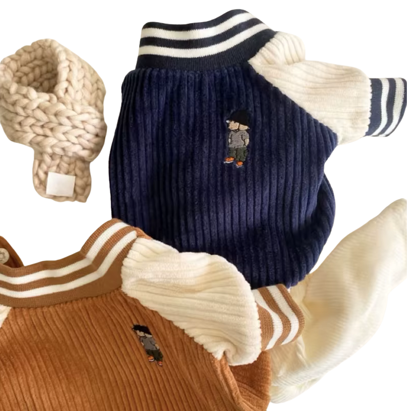 Teddy, blouson de baseball pour petit chien en velours côtelé. Trop mimi, il faut prendre une taille de plus pour que le chien soit confortable.