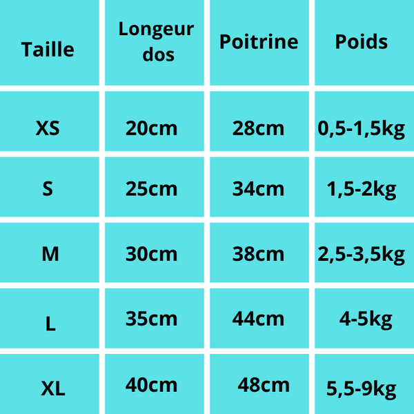 Teddy, blouson de baseball pour petit chien en velours côtelé. Trop mimi, il faut prendre une taille de plus pour que le chien soit confortable.