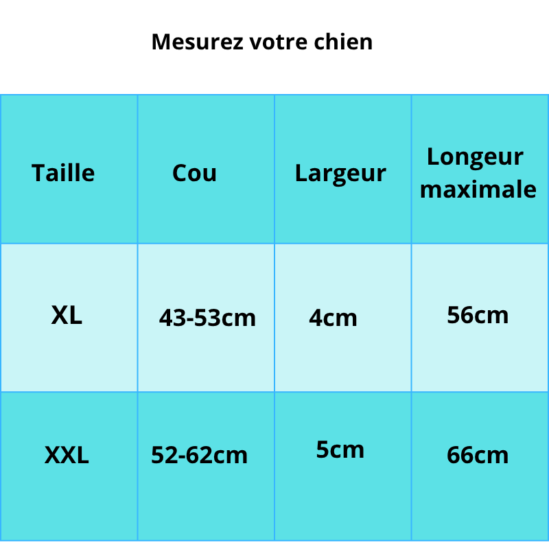 Robert, collier en cuir large et rembourré pour chien avec impression de identification gratuite.