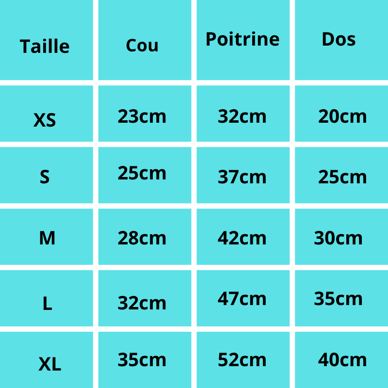 Lilou, manteau d'hiver idéal pour petits chiens avec noeud papillon, chaud et doux. Deux couleurs.